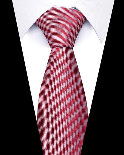 Men’s Printed Necktie