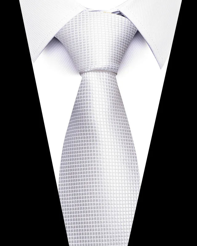 Men’s Printed Necktie