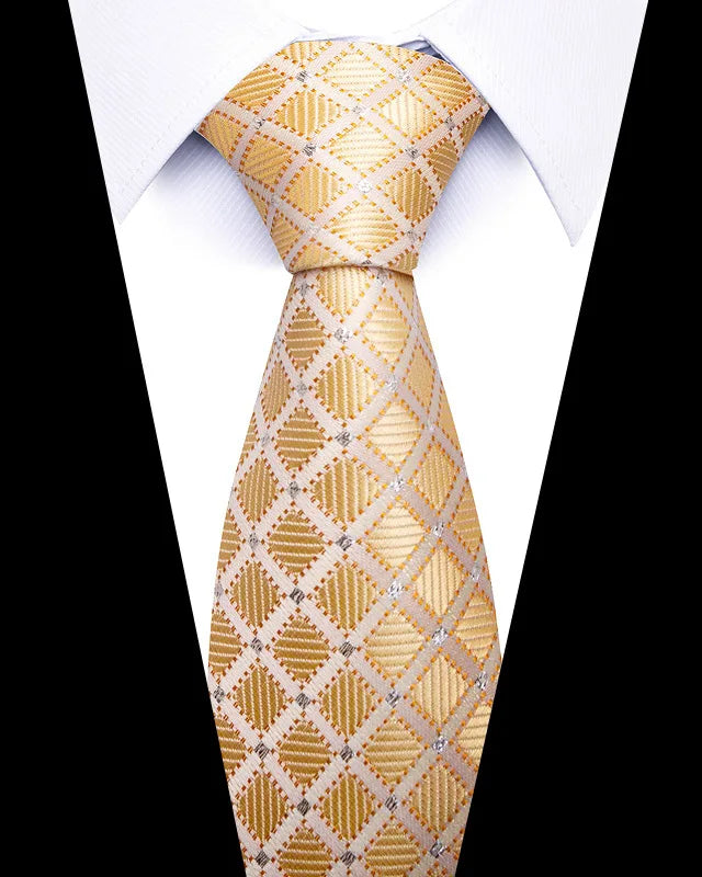 Men’s Printed Necktie