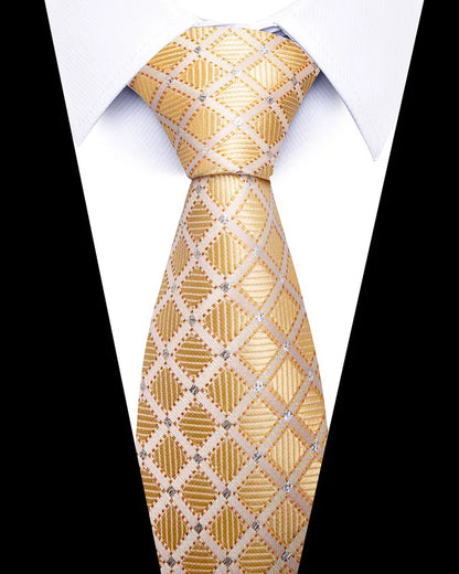 Men’s Printed Necktie